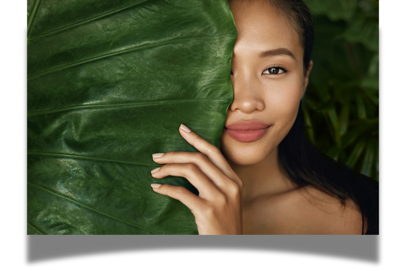 Beauty face. Woman model with natural makeup behind green leaf